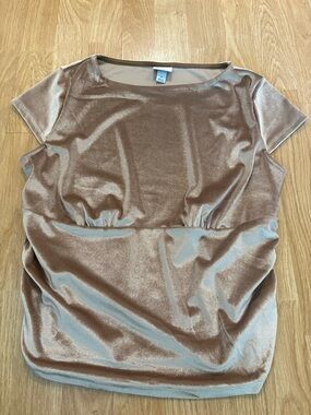 Women's Metallic Velvet Short Sleeve Top - Taupe